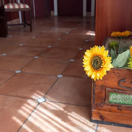 Restaurante Puerta Del Alcazar Penzion Ávila